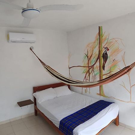 La Casa De Las Aves Bacalar Exteriör bild